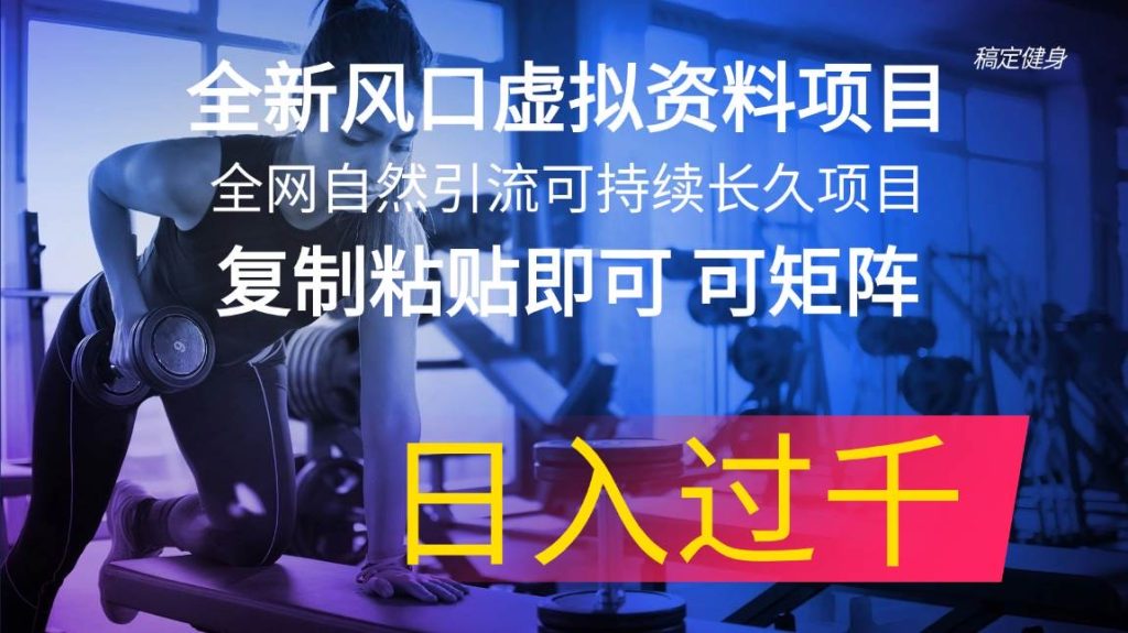 全新风口虚拟资料项目 全网自然引流可持续长久项目-优创资源网